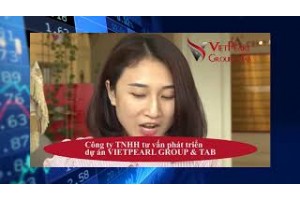 VIETPEAR GROUP